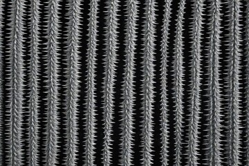 tire track background