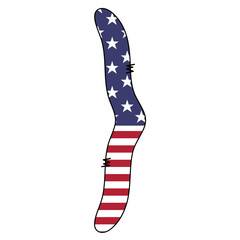 Obraz premium American Flag Wormel on White Background