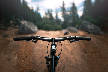 A Cyclist Journey into Nature. Sunlit Forest Downhill Trails