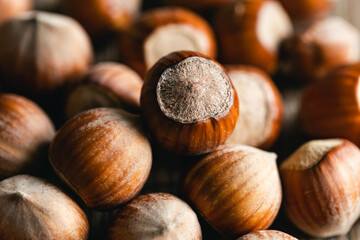 Hazelnut nut health organic brown filbert autumn background concept, food background.