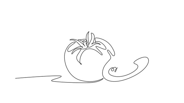 Animated self drawing of continuous line draw of whole and sliced healthy organic tomatoes for farming logo identity. Fresh tropical vegetable for veggie garden icon. Full length single line animation