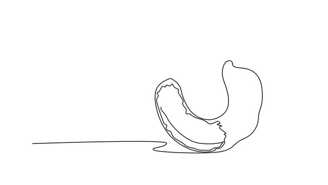 Self drawing animation of single line draw of peeled healthy brown organic tamarind for orchard logo identity. Fresh fruitage concept for fruit garden icon. Continuous line draw. Full length animated