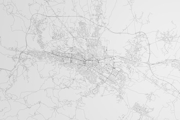 Fototapeta premium Map of the streets of Skopje (North Macedonia) on white background. 3d render, illustration