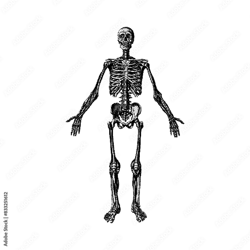 Poster skeleton dithering bitmap vector