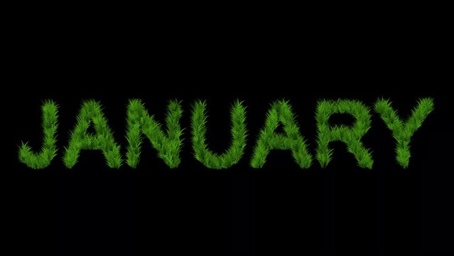January text with green grass effect on plain black background