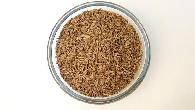 Cumin seeds in a glass bowl isolated rotating on white background, a glass bowl full of Cumin seeds top view, close up, herbs and spices.