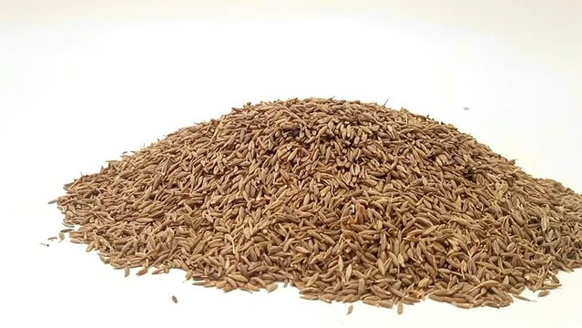 Pile of Cumin seeds on white background isolated, moving from right to left, front view, close up, herbs and spices.