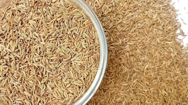 Half of circle shaped Cumin seeds glass bowl spices spilled around it, left half of the frame, rotating, white background, closeup, herbs and spices.