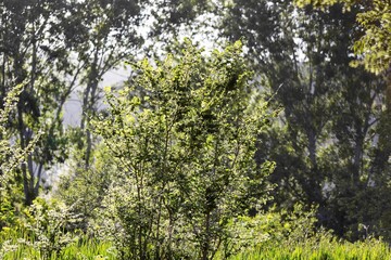 Parque en día soleado