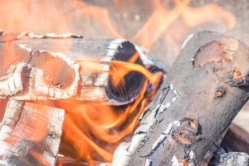 A close up of a log burning in a fire with flames emerging from it