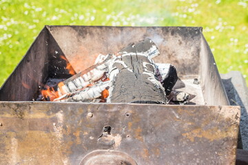 Barbecue grill with flames, wood, plant, charcoal, fire, brick,