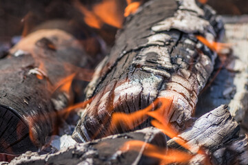 A close up of a log burning in a fire with flames emerging from it
