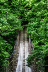 	新緑の花貫渓谷　汐見滝吊り橋