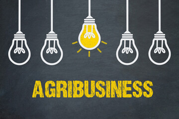 Agribusiness	