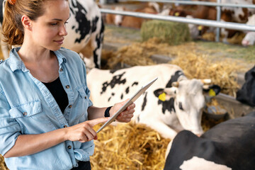 Modern woman livestock farmer works in dairy farm using digital tablet, collecting cloud data of...