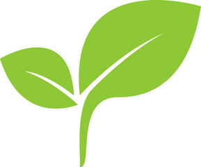 Nature Leaf Icon