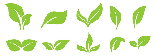 Nature Leaf Icon Set