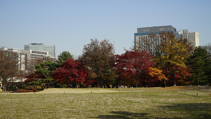 고궁과 가을 단풍 낙엽 풍경입니다