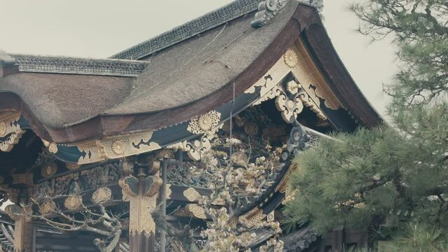 Facade Of The Famous Flatland Nijo Castle In Kyoto, Japan. closeup