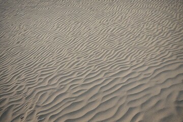 Obraz premium sand ripples in the sand
