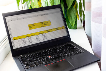 Shot of an excel sheet on computer screen showing bank loan amortization table. Accounting