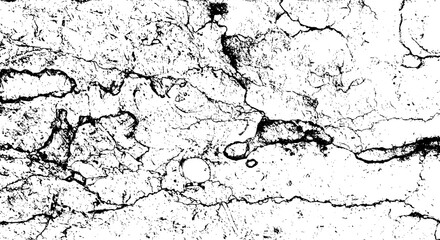 Black and White Marble Stone Vector Texture
