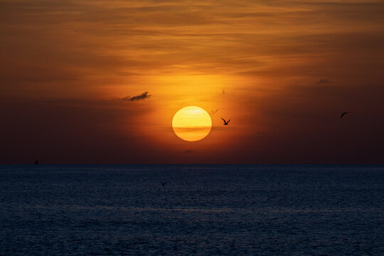 Beautiful sunset with silhouettes of birds above the ocean on a tropical island in Seychelles