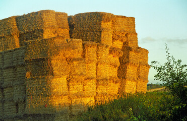 horizontal image of wheat straw. Heston Bales stacked in an agricultural field. location North Bedfordshire 1998