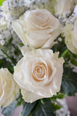 Two large roses, part of a floral arrangement for a wedding or a special occasion, used as a centerpiece for dining tables or as a bridal detail, elegant bouquet with ivory roses and baby's breath
