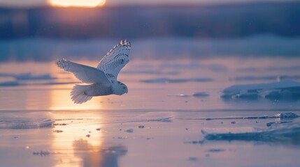  a snowy owl flies over a frozen tundra, Macro shot artistic blur, Sunset reflection on calm seas, this portrayal showcases peacefulness and delight, a glowing trail illuminates the night - Powered by Adobe
