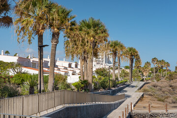 Picturesque pathway lined with palm trees and white-walled houses with terracotta roofs, coastal walking route from Amarilla Golf through Golf del Sur to Los Abrigos, Tenerife, Canary Islands, Spain