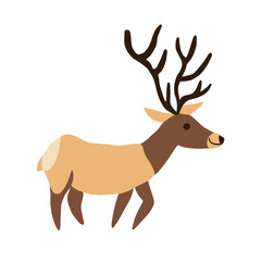 Siberian deer, decorative cartoon flat vector maral forest animal isolated on white background, wild reindeer, simple illustration cute mammal for design children pattern, Christmas icon, map for kid