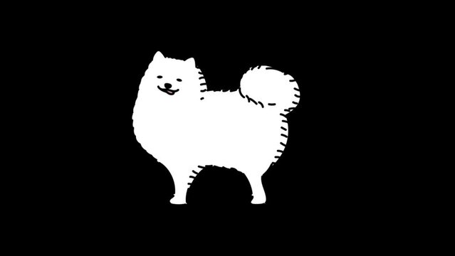 風に吹かれる犬（ポメラニアン）2（顔だけ正面・白色ver）