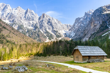 alpine landscape