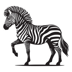 Obraz premium Graphical set of zebra isolated on white background, vector illustration