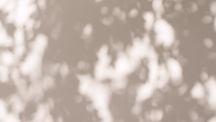 Transparent soft light and shadows from branches, plant, foliage and leaves. Morning sunlight and tree shadows blowing by wind reflecting on wall. Product, advertising. Summer concept. 4k. - Powered by Adobe