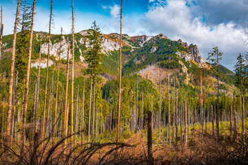 tatry national park, poland, slovakia © R_R