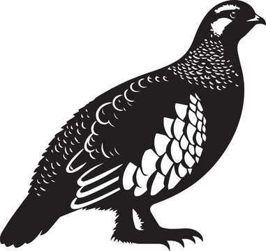 grouse silhouette vector illustration white background