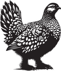 grouse silhouette vector illustration white background