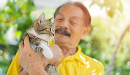 Concept friendship and help of animals cat and people. Senior elderly man holds kitten in arms.