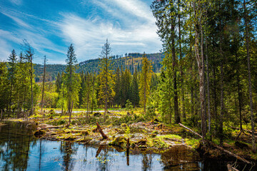 tatry national park, poland, slovakia © R_R