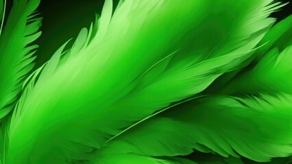 Obraz premium Stylish Green Soft Feathers Background