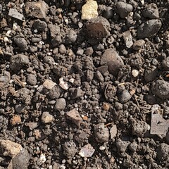 close-up of dark soil and rocks