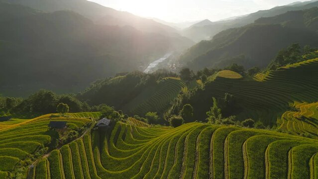 Aerial top view of fresh paddy rice terraces, green agricultural fields in countryside or rural area of Mu Cang Chai, mountain hills valley in Asia, Vietnam. Nature landscape background.