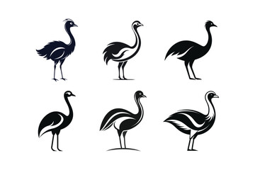 sets of ostrich or emu vector art illustration on white background