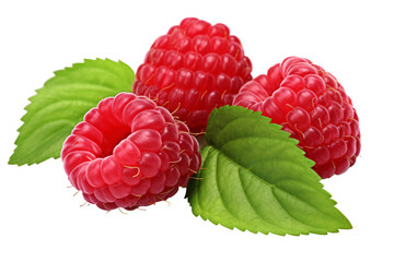 a group of raspberries with leaves