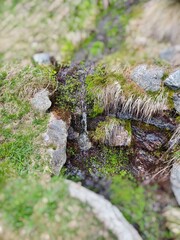 Breuil-Cervinia - Rund um den Golfplatz