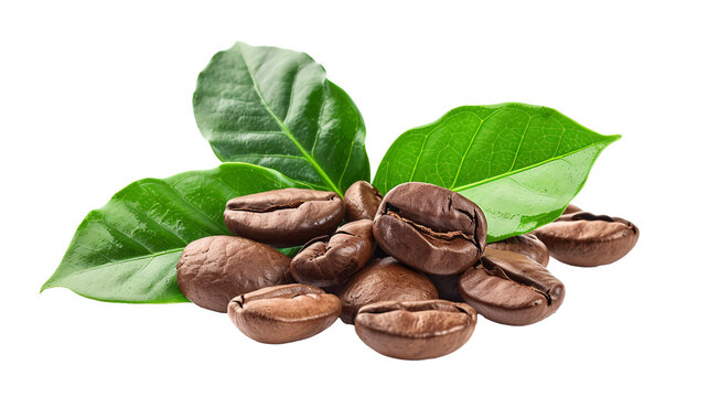 a pile of coffee beans with leaves
