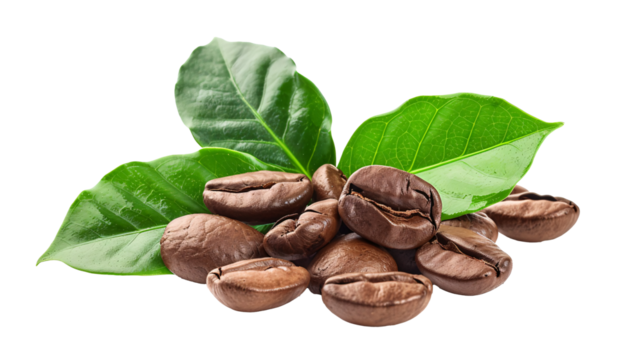 a pile of coffee beans with leaves