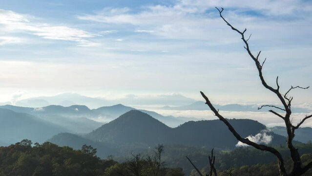 White crater landscape above the clouds, Kawah Putih morning sun. rays with dead tree in foreground, Indonesia.